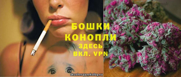 гашик Белоозёрский